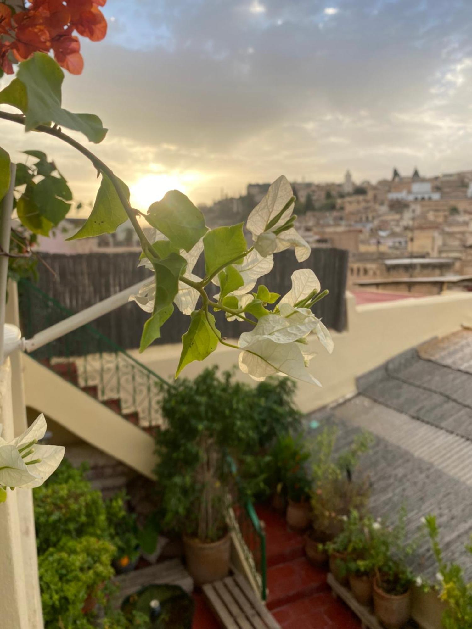 Riad Taj Salma Bed & Breakfast Fes Exterior photo